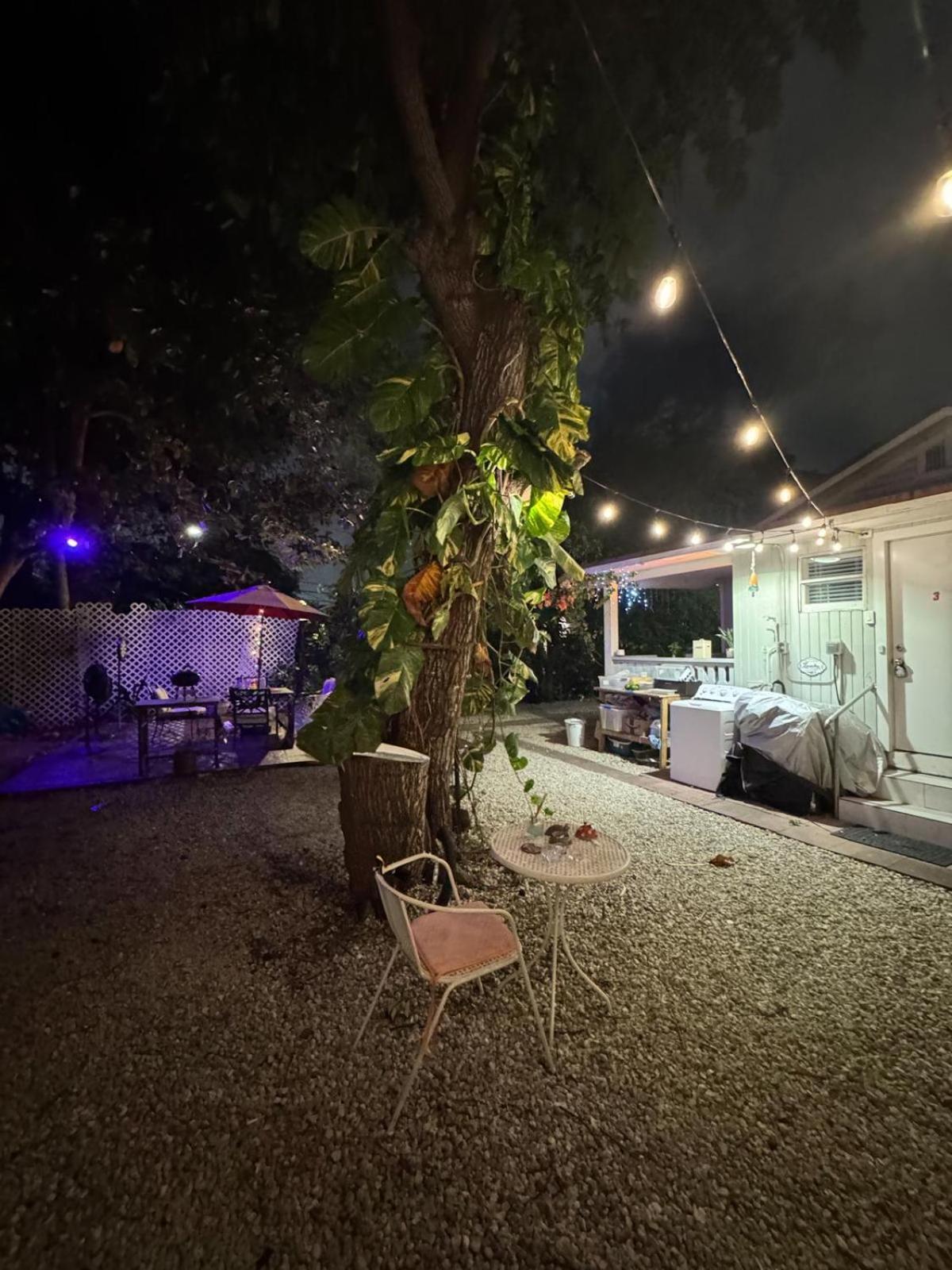 Deluxe Room In Best Location Miami In A 2 Bedrooms Unit - Parking, Laundry And Luggage Storage Eksteriør bilde